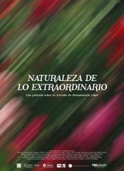 LA NATURALEZA DE LO EXTRAORDINARIO   24siete a la Sala Arnau de Vilalba. Palau de l&