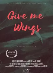 GIVE ME WINGS